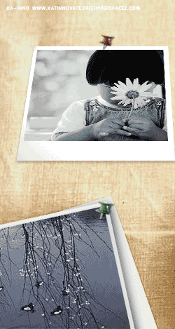 EMO อีโม & GRAPHICs COMMENT