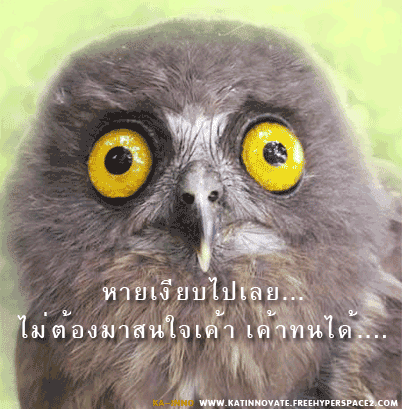 COMMENT ไม่สนใจกันเลย