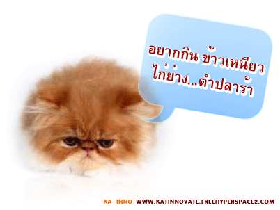 COMMENT อยากกินส้มตำไก่ย่าง